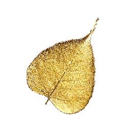 Manufacturers Exporters and Wholesale Suppliers of Gold Plated Leaf Bengaluru Karnataka Gold Plated Leaf
